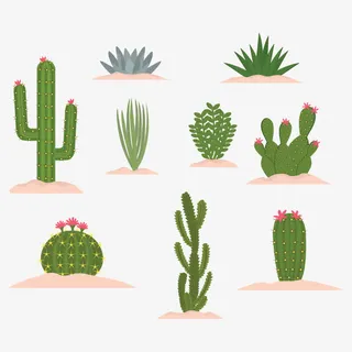 热带仙人掌免抠