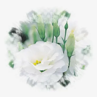 卡通古风图片手绘饰品素材免抠