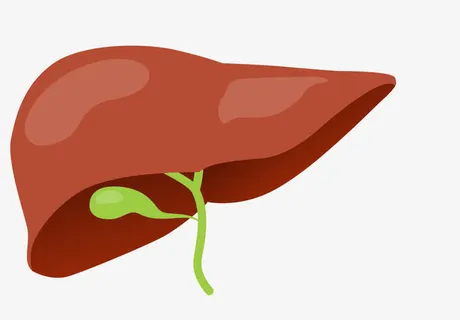 美丽的心脏矢量图免抠
