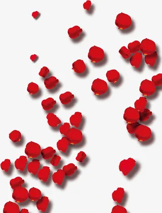 玫瑰花花瓣抠图免抠