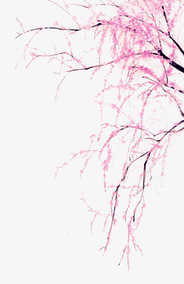 桃花盛开手绘插画免抠