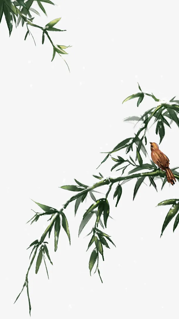 手绘竹子竹叶免抠