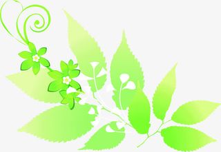 春天淡雅绿色树叶设计免抠