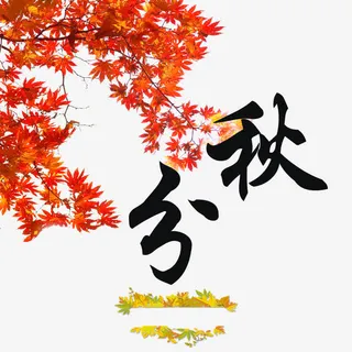 秋分免抠