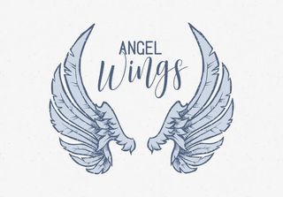 彩绘翅膀免抠