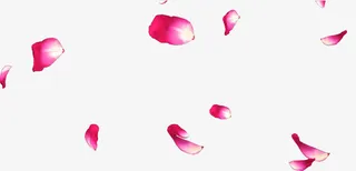 飘落的粉红色花瓣免抠