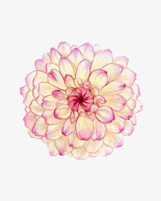 水彩花朵免抠