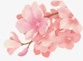 古风国画梅花免抠