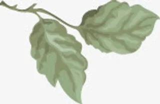 创意合成油画效果树枝免抠