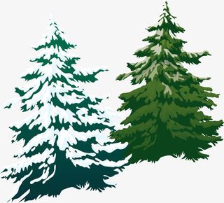 松树线稿免抠