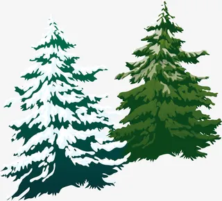 松树线稿免抠
