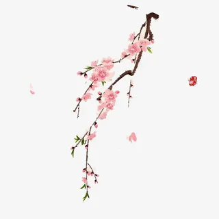 水彩梅花免抠手绘/卡通卡通元素