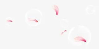 漂浮花瓣免抠