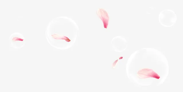 漂浮花瓣免抠 漂浮花瓣免抠