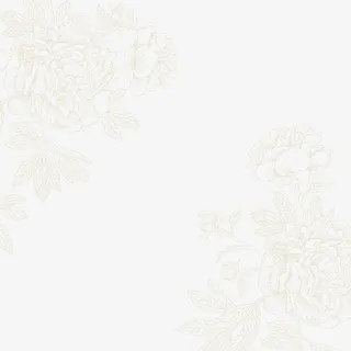 素净玫瑰花底花边矢量素材免抠