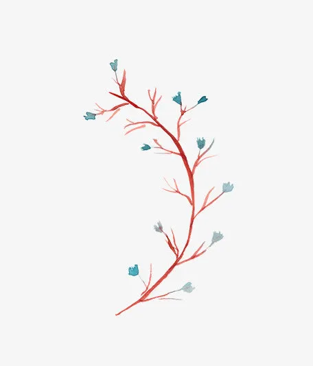 圣诞节手绘花纹素材免抠