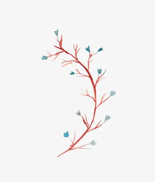 圣诞节手绘花纹素材免抠