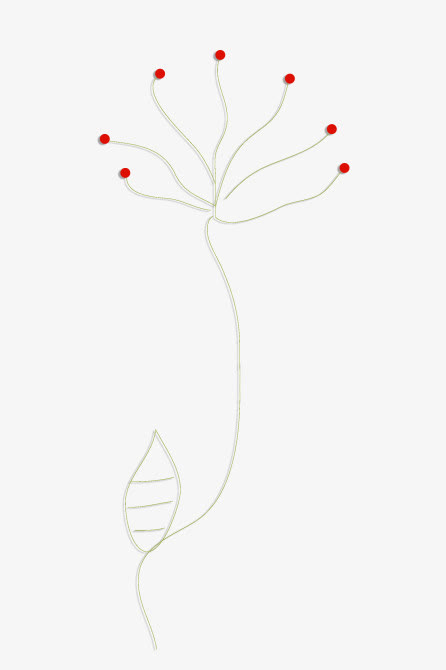 手绘植物免抠