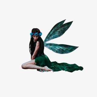 森林公主翅膀绿色效果免抠
