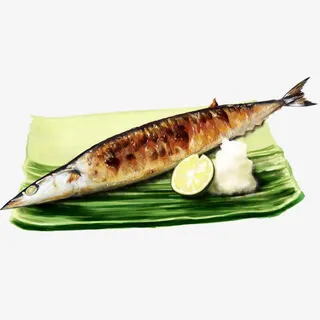 秋刀鱼手绘画素材图片免抠