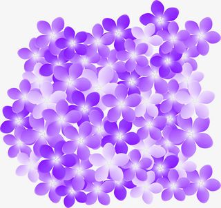 紫色清新花朵免抠