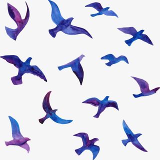水彩鸟群免抠