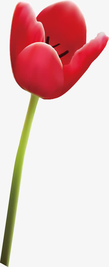 婚礼 角花免抠