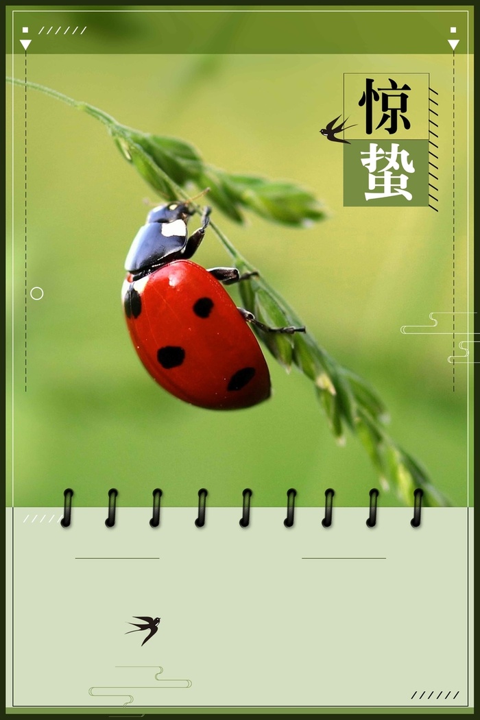 二十四节气惊蛰绿色清新简约背景高清