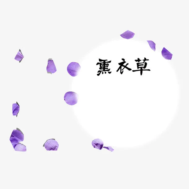薰衣草花瓣免抠