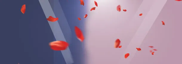 淘宝女包大促立体几何线条花瓣背景banner