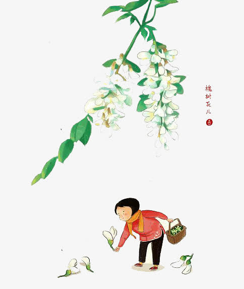 鲜花装饰免抠