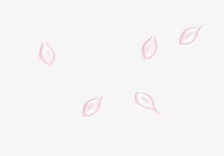 粉红手绘花瓣漂浮免抠