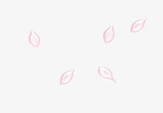粉红手绘花瓣漂浮免抠