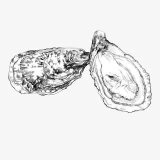 手绘生蚝免抠