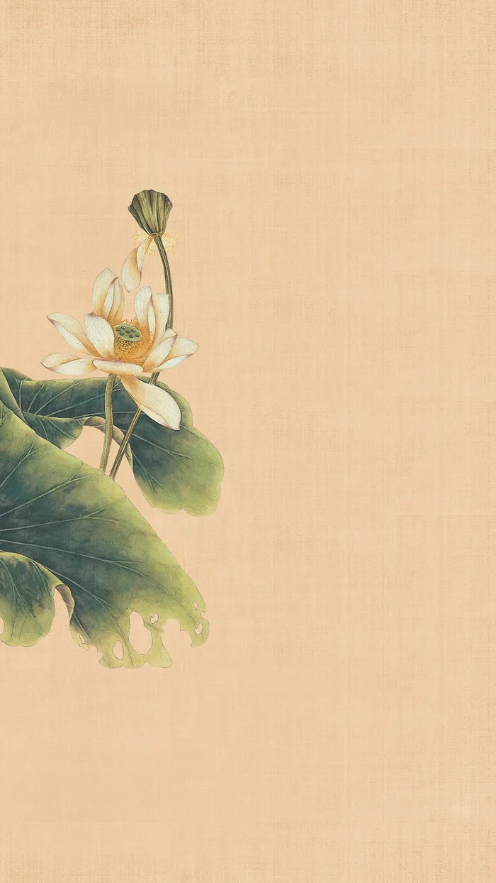 中国风荷花工笔画H5背景素材高清