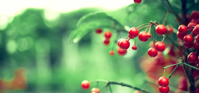 淘宝背景高清