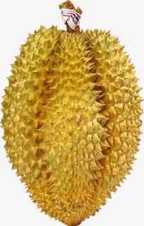 猫山王榴莲免抠