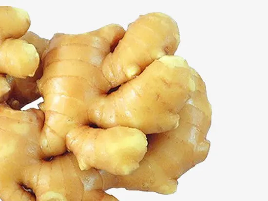 生姜成分免抠