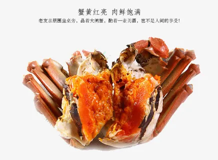 切开的大闸蟹免抠