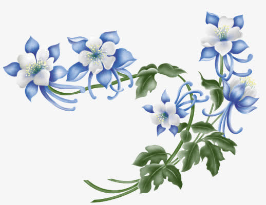 蓝花绿叶免抠