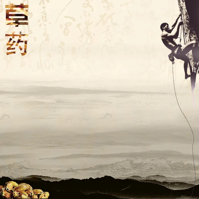 草药中药中国风背景图高清