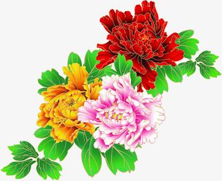 摄影节日活动花朵效果免抠