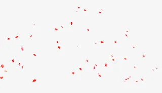 飘落的花瓣免抠