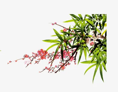 红色梅花腊梅绿色叶子竹叶免抠
