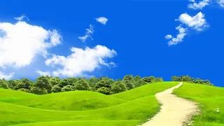 草地,背景,png,素材高清