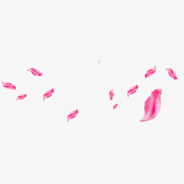 花瓣漂浮元素免抠