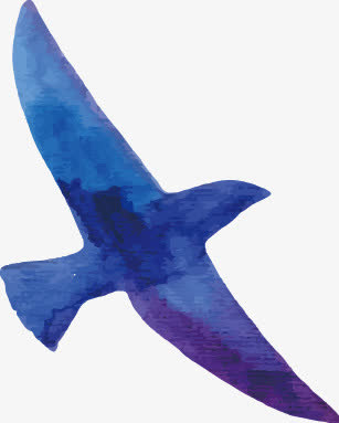 鸟免抠