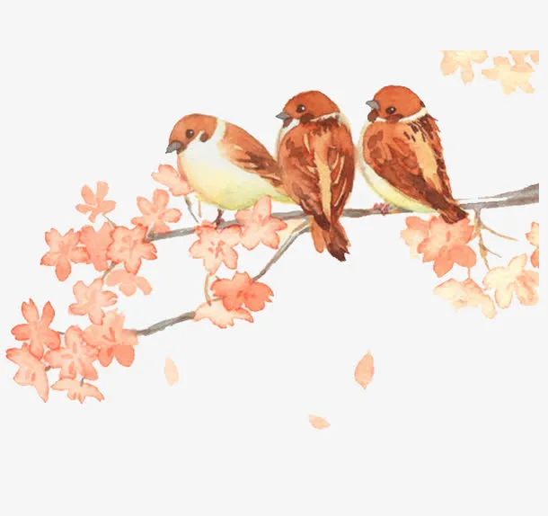 梅花树枝上的鸟免抠