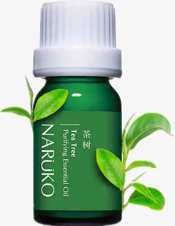茶树痘痘精油免抠