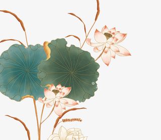 国潮风荷花荷叶免抠